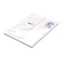 のし紙 B5判 五本結切 山/100枚×5冊入