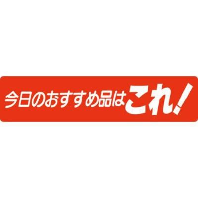 SLラベル 今日のおすすめ品はこれ！/500枚×10冊入