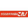 SLラベル 今日のおすすめ品はこれ！/500枚×10冊入