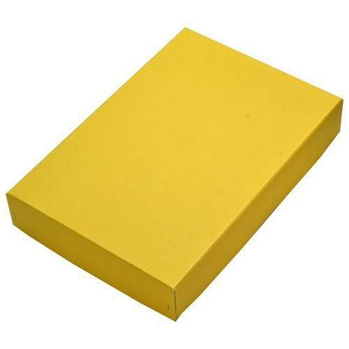 特殊カード立 ワイドビッグクリップ/5袋入