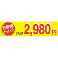 SLラベル お買い得チャンス1パックラベル2980円/500枚×10冊入