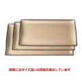 トレー スカイトレーシャンパンゴールド尺3寸