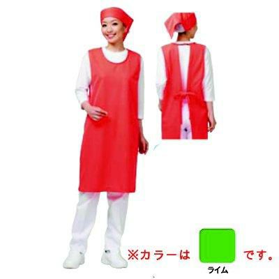 アイメッシュエプロン ノースリーブタイプ E5100-22G ライム