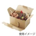 ネオクラフト キャリーBOX L 20枚入