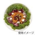 徳用バガスボウル GB-18 50枚入