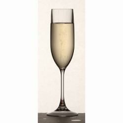 トライタン シャンパーニュ 6個セット