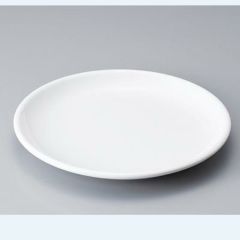 １９ｃｍ皿