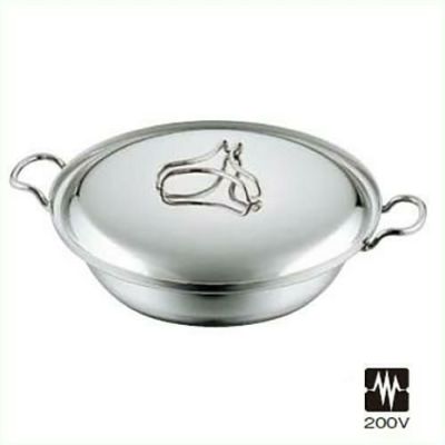 プロデンジ ちり鍋 21cm