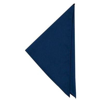 三角巾サイズ：フリー