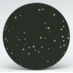 回転寿司皿 寿司皿緑彩箔ちらし/業務用食器