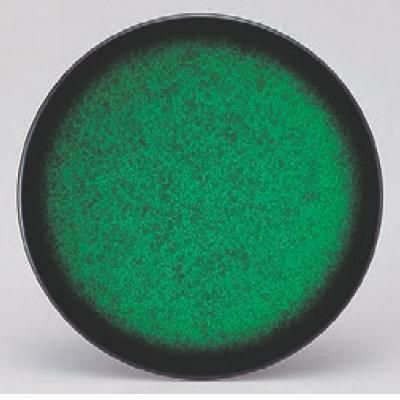 回転寿司皿 寿司皿アクアグリーン