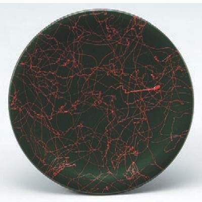 回転寿司皿 寿司皿グリーン紅乱糸