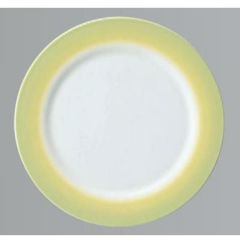 回転寿司皿 寿司皿 若草ぼかし