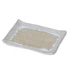 7寸風月皿 白唐津