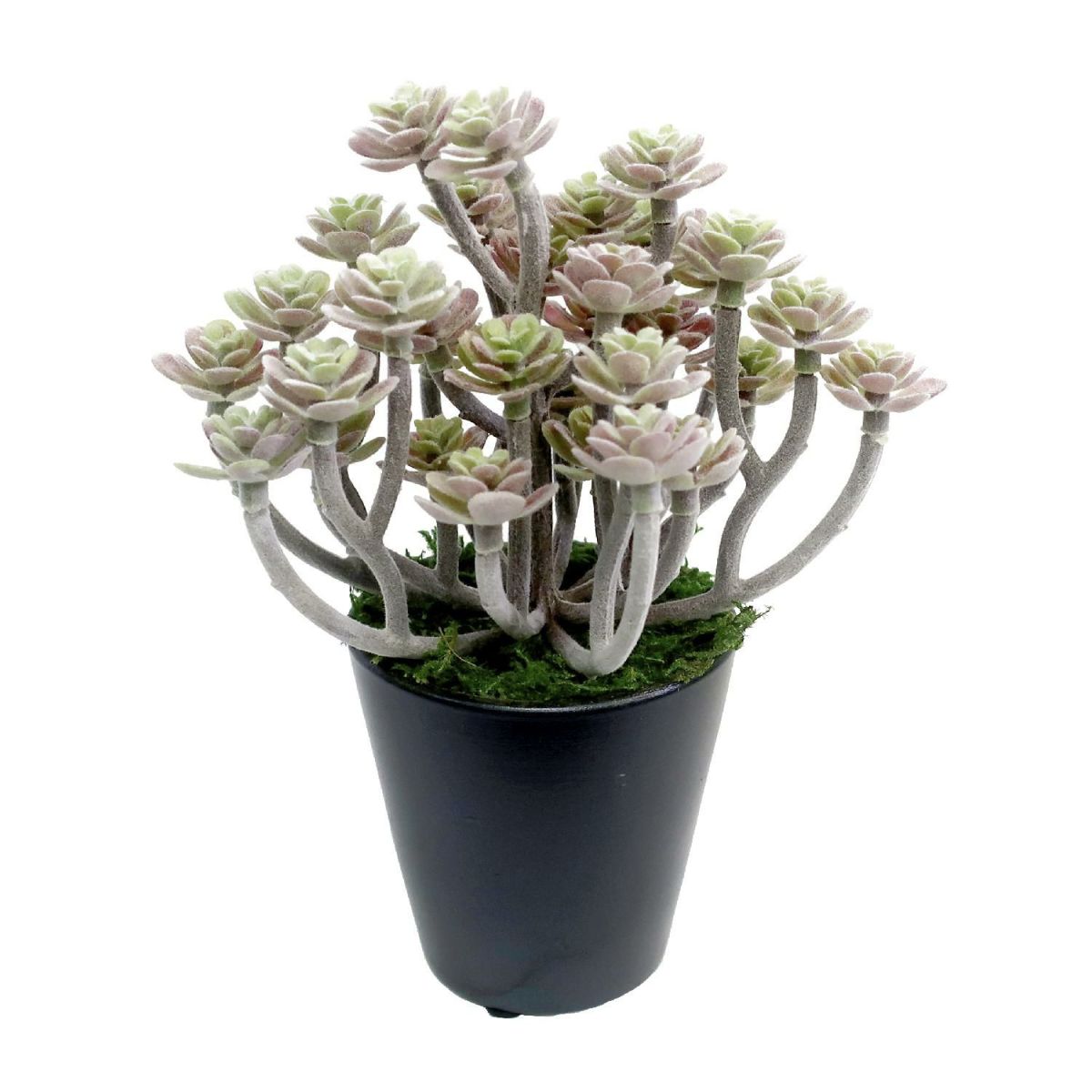 人工観葉植物 パープルセダム ミニサイズ/業務用/新品