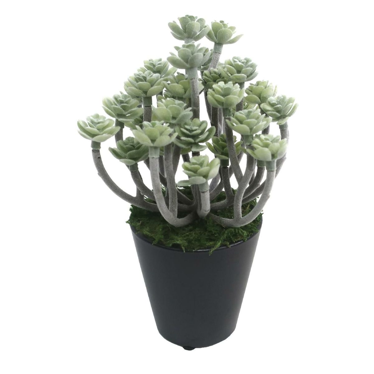 人工観葉植物 グリーンセダム ミニサイズ/業務用/新品