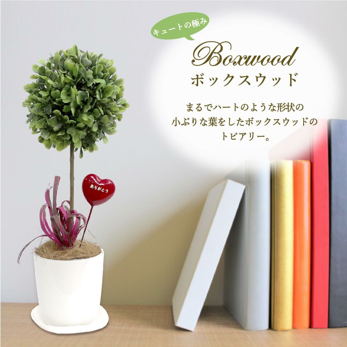 人工観葉植物 ボックスウッド Sサイズ/業務用/新品