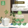 人工観葉植物 シュガーバイン WHT Sサイズ/業務用/新品