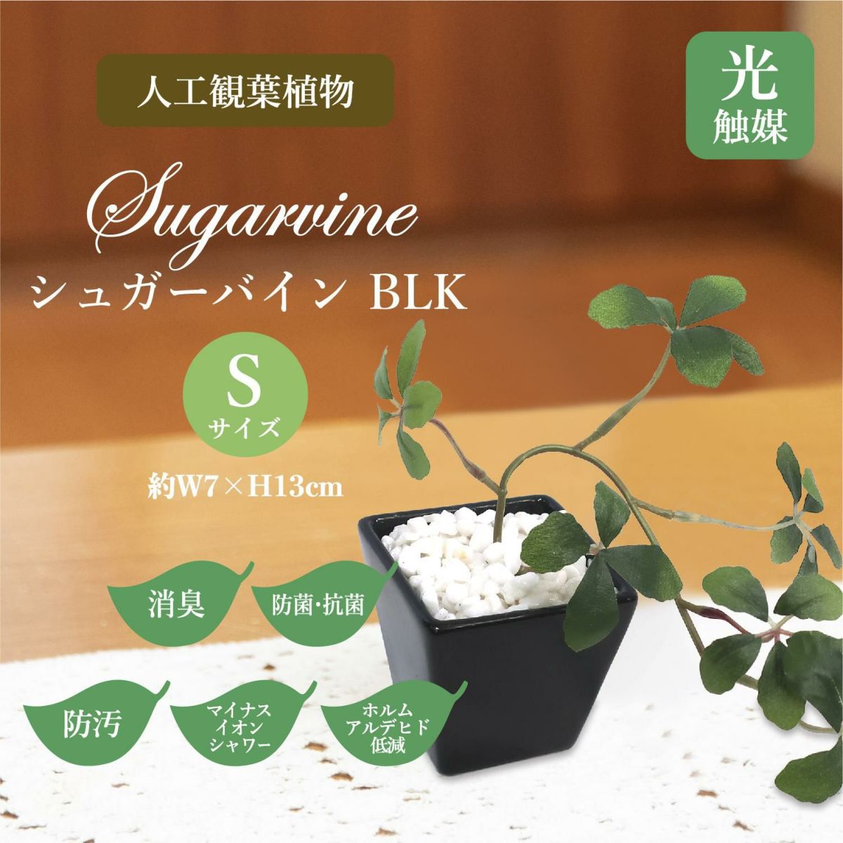 人工観葉植物 シュガーバイン BLK Sサイズ/業務用/新品
