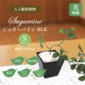人工観葉植物 シュガーバイン BLK Sサイズ/業務用/新品