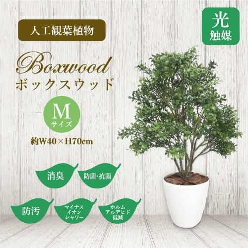 人工観葉植物 ボックスウッド Mサイズ/業務用/新品/送料無料