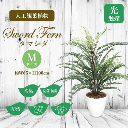 人工観葉植物 タマシダ Mサイズ/業務用/新品/送料無料