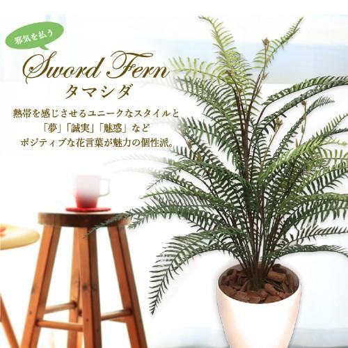 人工観葉植物 タマシダ Mサイズ/業務用/新品/送料無料