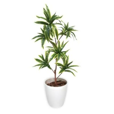 人工観葉植物 ソングオブインディア Mサイズ/業務用/新品/送料無料