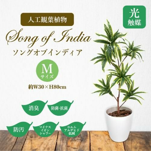 人工観葉植物 ソングオブインディア Mサイズ/業務用/新品/送料無料