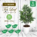 人工観葉植物 ティーリーフ Mサイズ/業務用/新品/送料無料