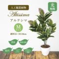 人工観葉植物 アルテシマ Mサイズ/業務用/新品/送料無料
