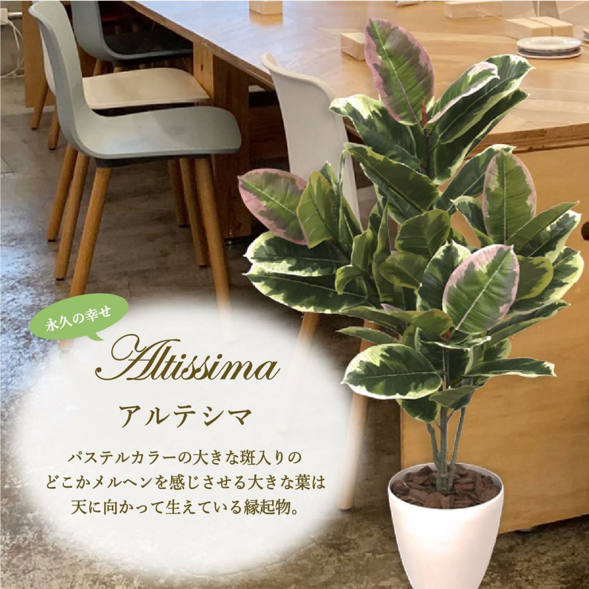 人工観葉植物 アルテシマ Mサイズ/業務用/新品/送料無料