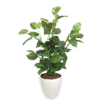 人工観葉植物 マネーツリー Lサイズ/業務用/新品/送料無料
