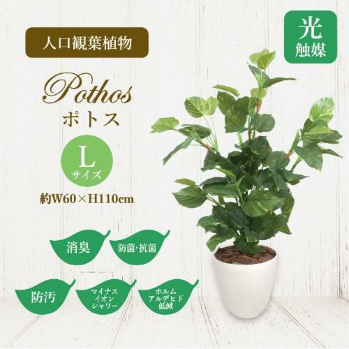 人工観葉植物 マネーツリー Lサイズ/業務用/新品/送料無料