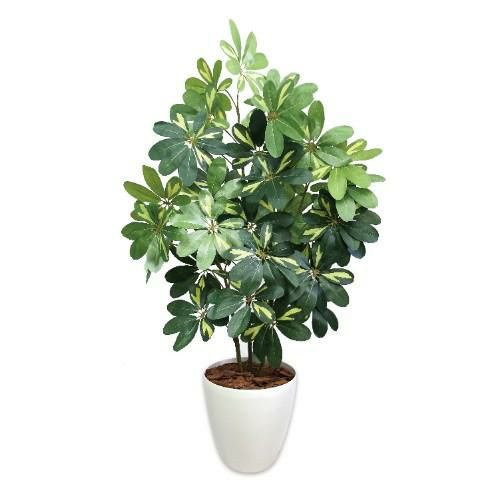 人工観葉植物 シェフレラ Lサイズ/業務用/新品/送料無料