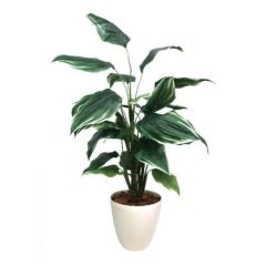 人工観葉植物 ホスタ Lサイズ/業務用/新品/送料無料