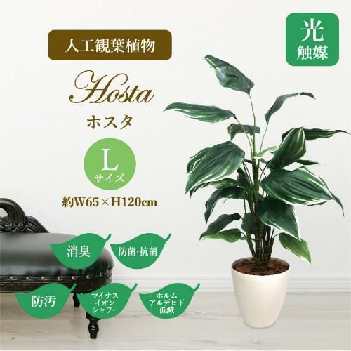 人工観葉植物 ホスタ Lサイズ/業務用/新品/送料無料