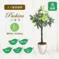 人工観葉植物 パキラ Lサイズ/業務用/新品/送料無料