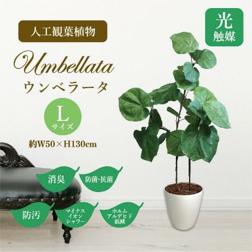 人工観葉植物 ウンベラータ Lサイズ/業務用/新品/送料無料