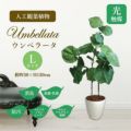 人工観葉植物 ウンベラータ Lサイズ/業務用/新品/送料無料