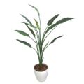 人工観葉植物 ストレリチア Lサイズ/業務用/新品/送料無料