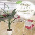 人工観葉植物 ストレリチア Lサイズ/業務用/新品/送料無料