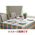 フローリナ テーブルクロス エコーシリーズ 100×115/業務用/新品