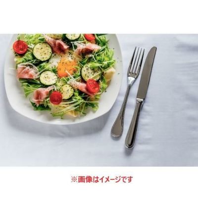 パール テーブルナイフ(H.H) /業務用/新品/小物送料