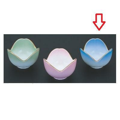 珍味 チューリップ珍味ブルー