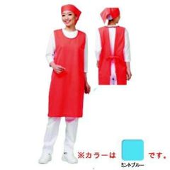 アイメッシュエプロン ノースリーブタイプ E5100-11G ミントブルー