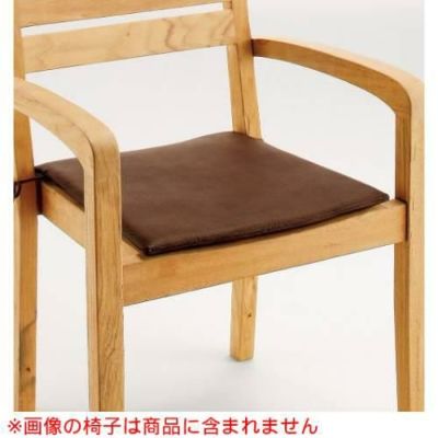 ガーデンチェア ラグーナアーム 別売クッション/張地ランクA