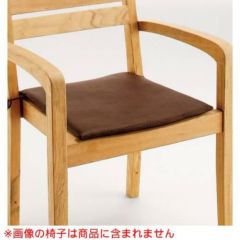 ガーデンチェア ラグーナアーム 別売クッション/張地ランクA