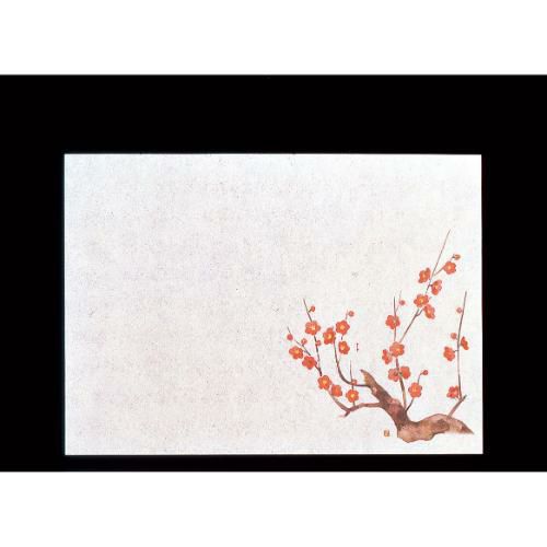 遠赤保鮮紙 小 (100枚入) 梅