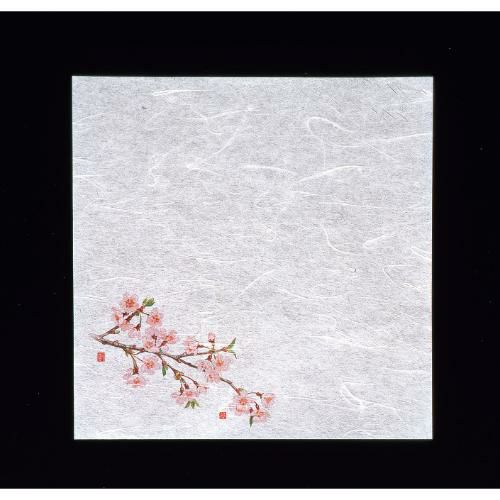 新・濡れ奉書紙(100枚入) 桜